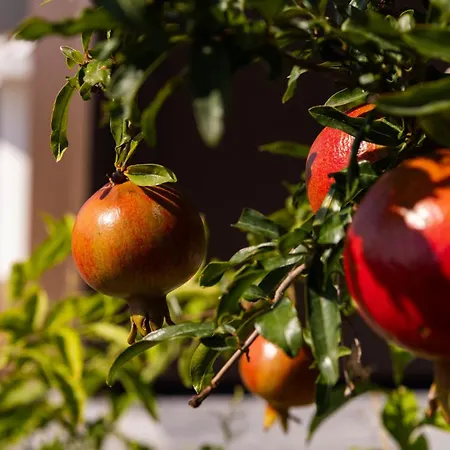 Mantàri Eco - Adults Only Acireale