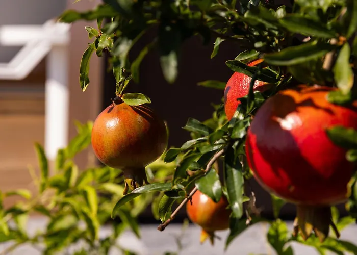 Mantari Eco - Adults Only Acireale