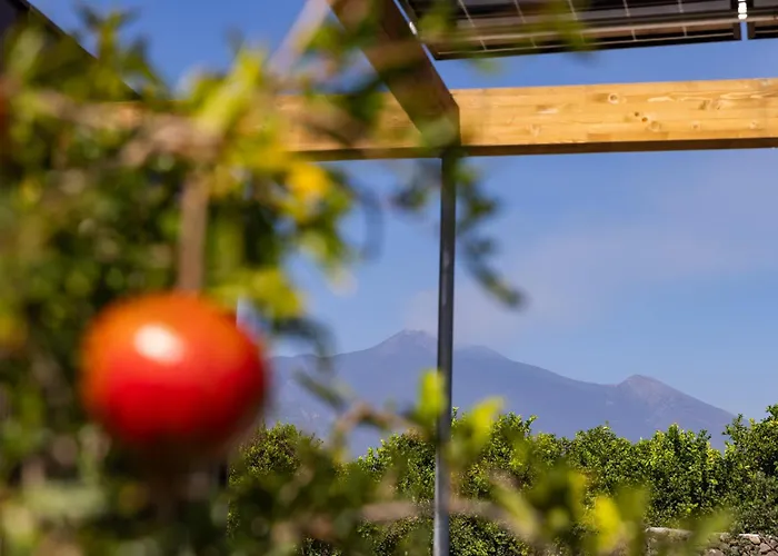 Mantari Eco - Adults Only Hytte Acireale